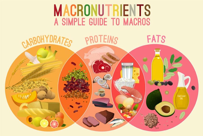 MACROS AND WHY DO YOU NEED TO KNOW?